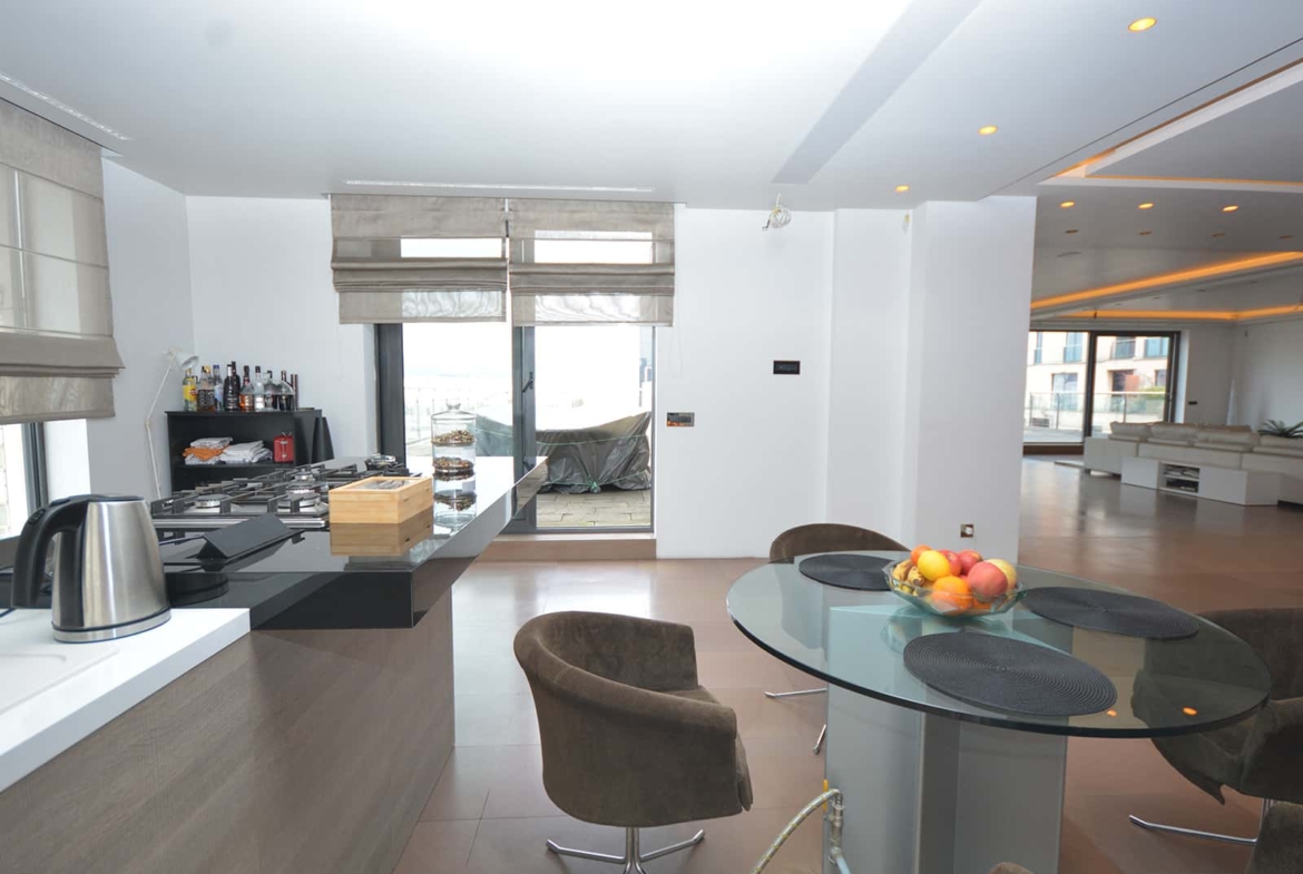 Prostor kuhinje sa izlazom na terasu površine 213.20 m²