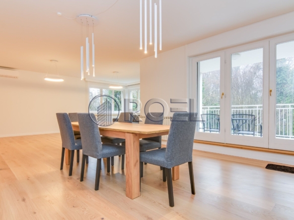 Four-room apartment, garage, for rent, Zagreb, Tuškanac, NKP 210 m2