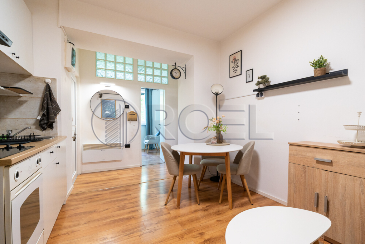 Three-Room Apartment, 55 m², Vinogradska Street