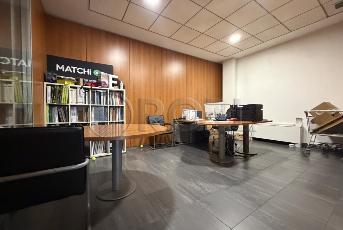 Poslovni prostor, uredi za najam, Slavonska avenija, 530 m2