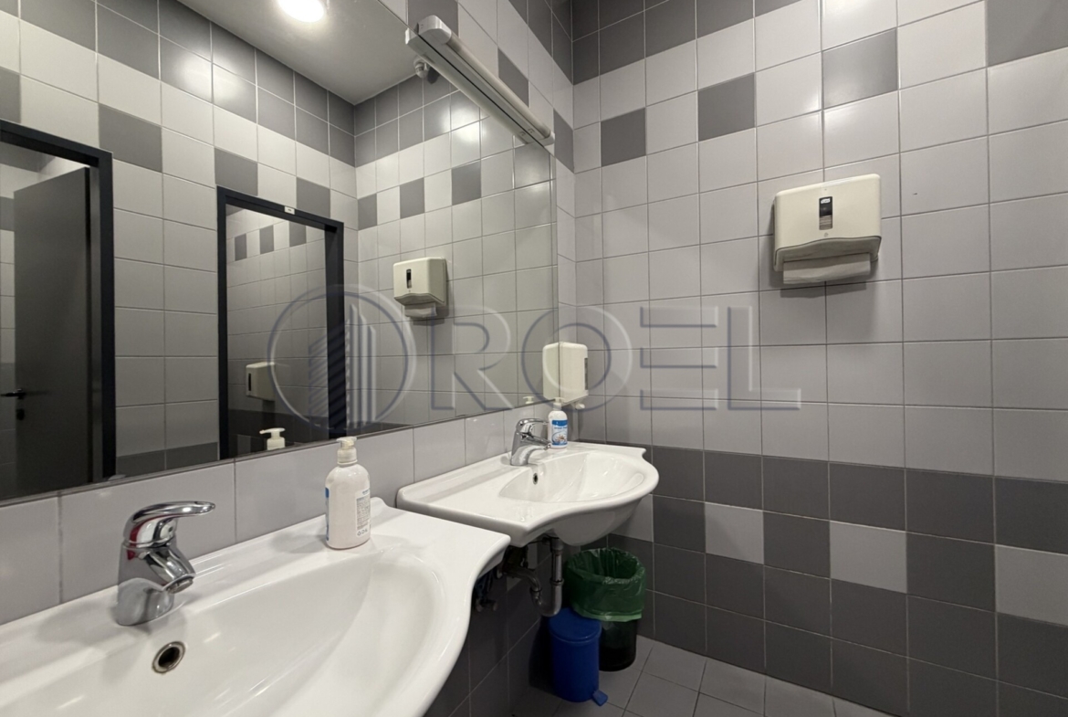 Poslovni prostor, uredi za najam, Slavonska avenija, 530 m2